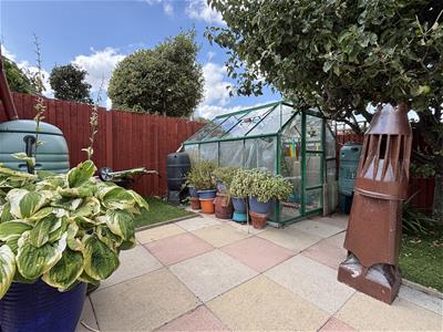 Picture 20